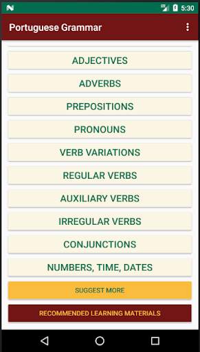 Portuguese Grammar Essentials screenshot 4