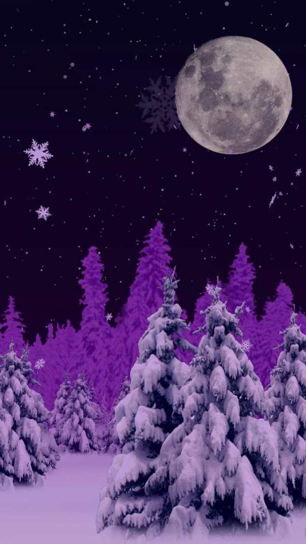 Winter Wonderland Free screenshot 3
