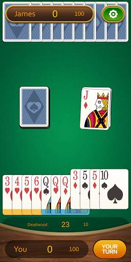 Gin Rummy screenshot 3