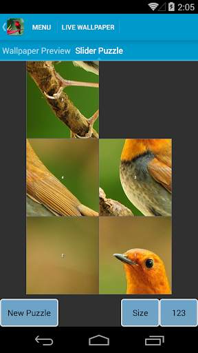 Beautiful Birds Live Wallpaper screenshot 5