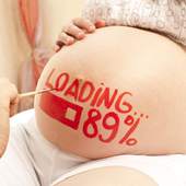 Pregnancy 1.0