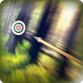 Bow Master 11.0