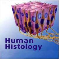 Human Histology icon