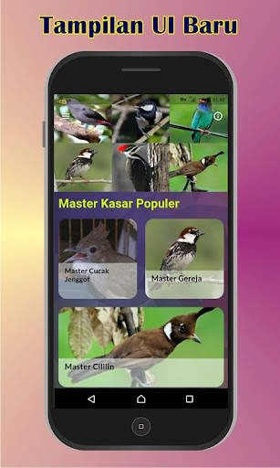 Master Burung Kasar screenshot 1