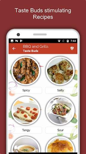 Barbecue Grill Recipes Offline screenshot 4