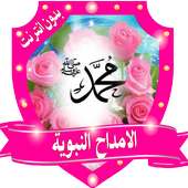 امداح نبوية اناشيد إسلامية بدون انترنت on 9Apps