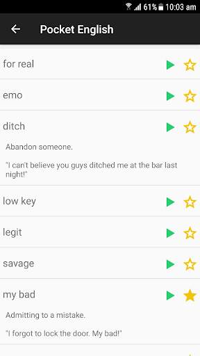 Pocket English screenshot 4