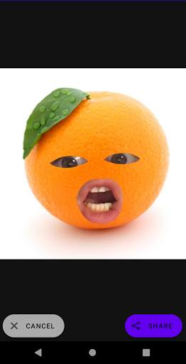Annoying Fruit Camera screenshot 3