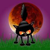 Spooky Blood Moon Cat