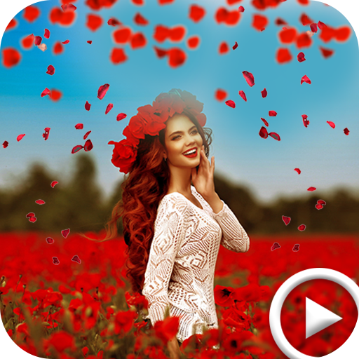 MV Player icon
