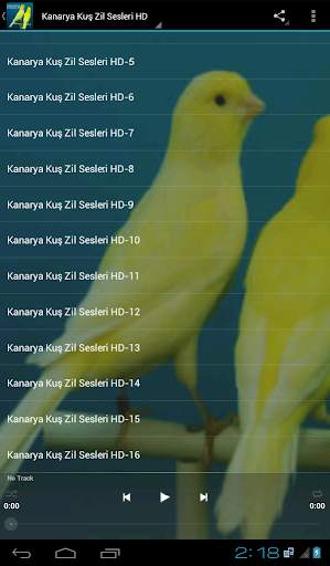 Kanarya Kuş Zil Sesleri HD screenshot 1