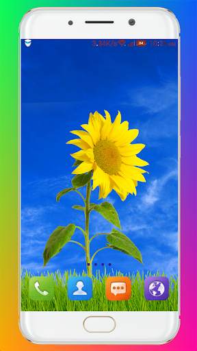 Flower Wallpaper HD screenshot 16