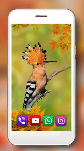 Autumn Music Live Wallpaper screenshot 2