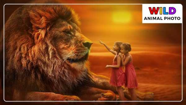 Wild Animal Photo Frames - Photo Editor screenshot 8