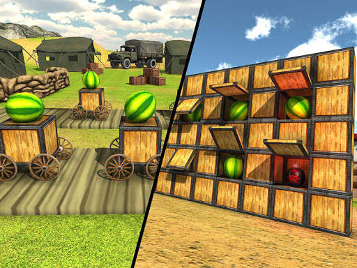 Watermelon shooting game 3D screenshot 11