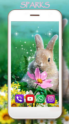 Funny Bunnies Live Wallpaper screenshot 3