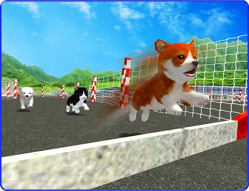Cute Puppy Dog Racing Sim 2017 screenshot 12