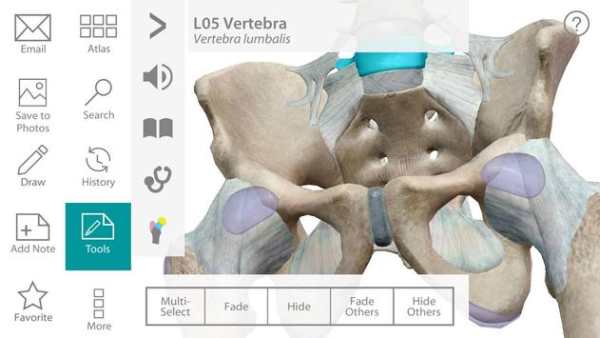Human Anatomy App screenshot 1