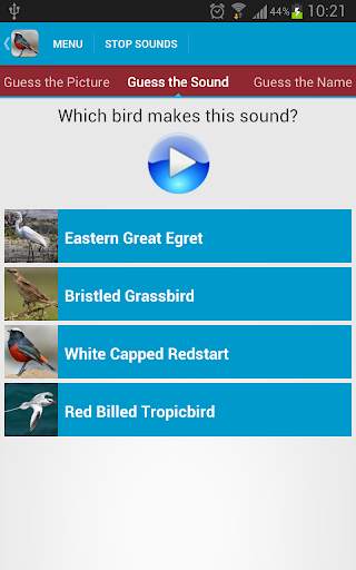 Asian Birds Sounds Free screenshot 5