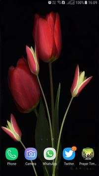 HD Tulip New Wallpaper screenshot 13