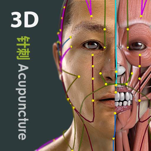 Visual Acupuncture 3D 3.3