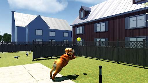 Bull Dog Simulator screenshot 6