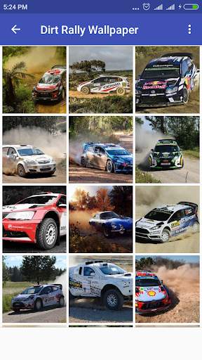 Best Dirt Rally Fury Wallpaper screenshot 1