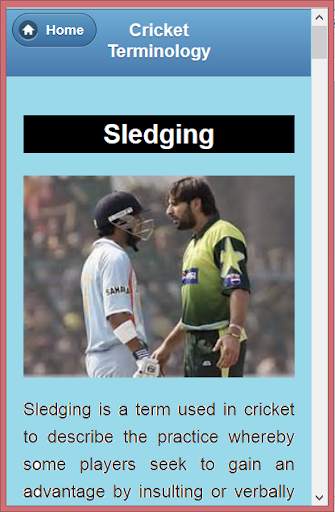 Cricket Language &Terminology screenshot 8