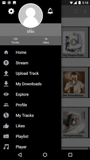 AuroMusic screenshot 5