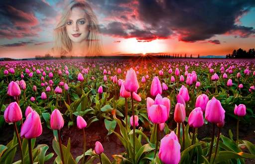 Sea of Flowers Photo Frames screenshot 3