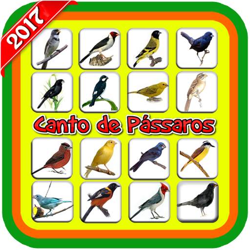 Canto de Pássaros (Offline) screenshot 1