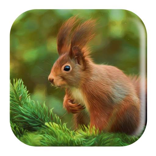 Squirrel Sounds 1.3