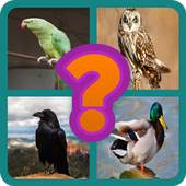 Bird Name Quiz 3.1.7z