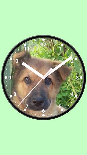 Photo Analog Clock-7 screenshot 3