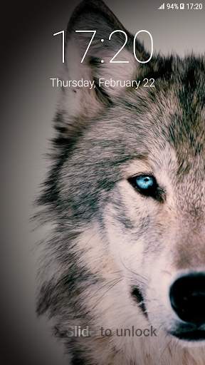 Wolf Pattern Lock Screen 1 تصوير الشاشة