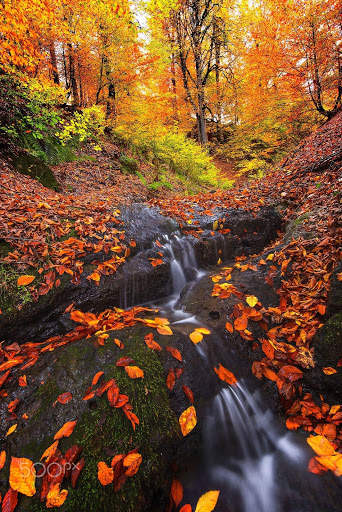 Free Puzzles For Adults screenshot 6