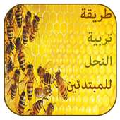 تربية النحل وانتاج العسل أيقونة