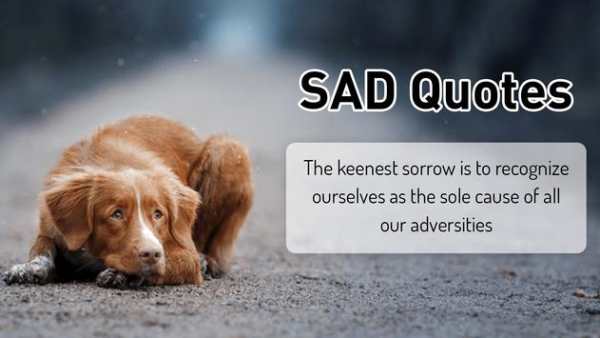 Sad Status & Dp Images screenshot 2