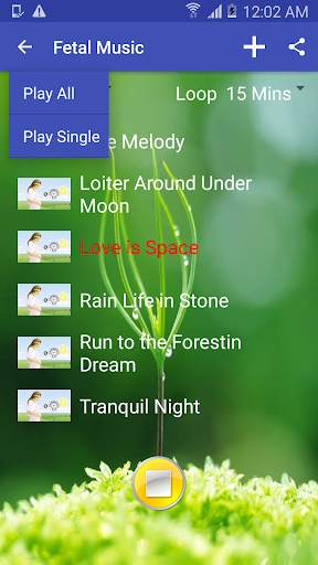 Offline family music player screenshot 7