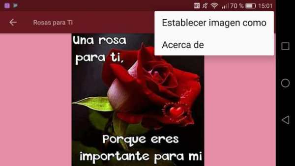 Rosas com frases bonitas 🌹 screenshot 11