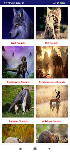 Animal Sounds screenshot 4