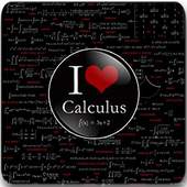 Calculus Practice 8