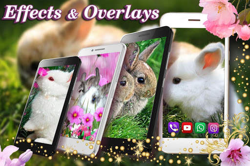 Funny Bunnies Live Wallpaper screenshot 6
