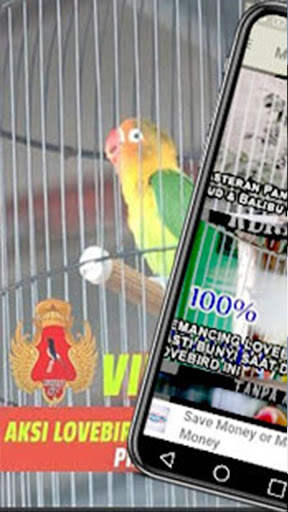Training Kicau Lovebird Masteran Offline screenshot 1