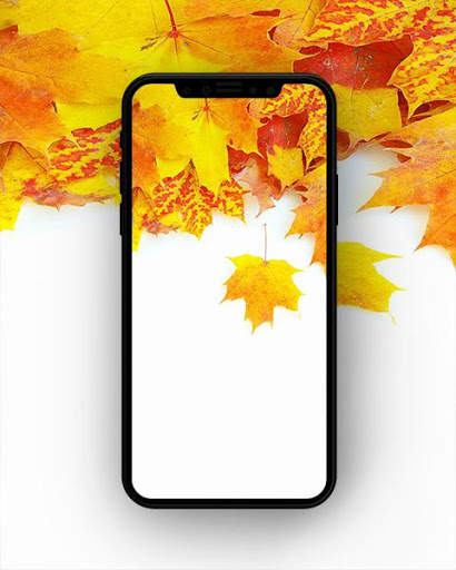 Autumn Wallpaper screenshot 4