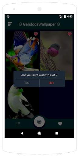 Beauty Birds Wallpaper स्क्रीनशॉट 1