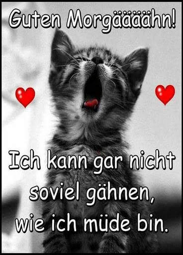 Guten Morgen tägliches Bilder für  Whatsapp screenshot 7