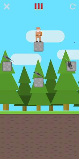 Hunter and Birds - arcade game स्क्रीनशॉट 2