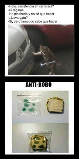 Memes Funny Pictures and Jokes screenshot 7