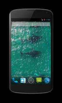 Whales Free Video Wallpaper screenshot 1